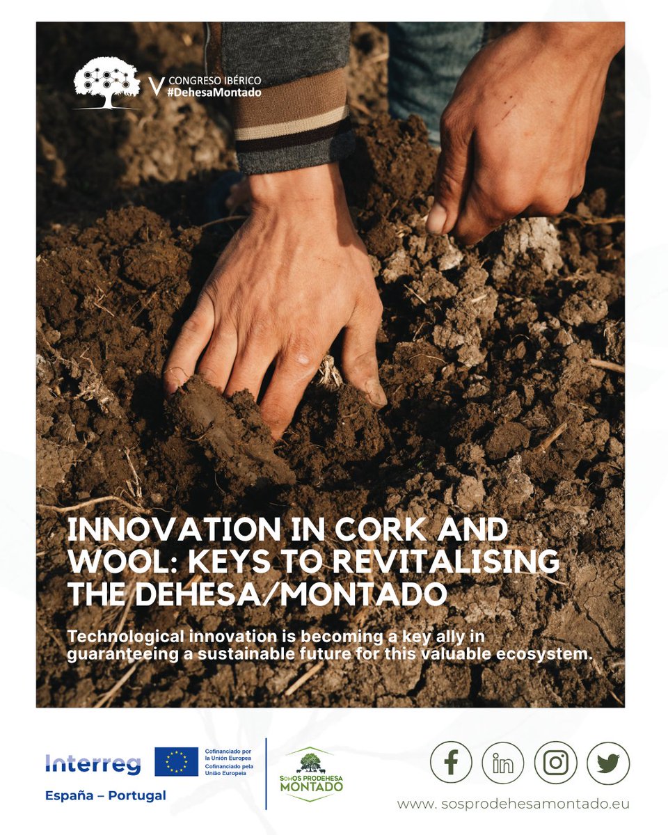 sosprodehesa's tweet image. 🌱 Revitalisation of pasture products At the 5th Iberian Congress on Pasture and Woodland, strategies were discussed to add value to traditional products such as cork, honey and wool.
Visit our website: lnkd.in/dUT2Rn3v