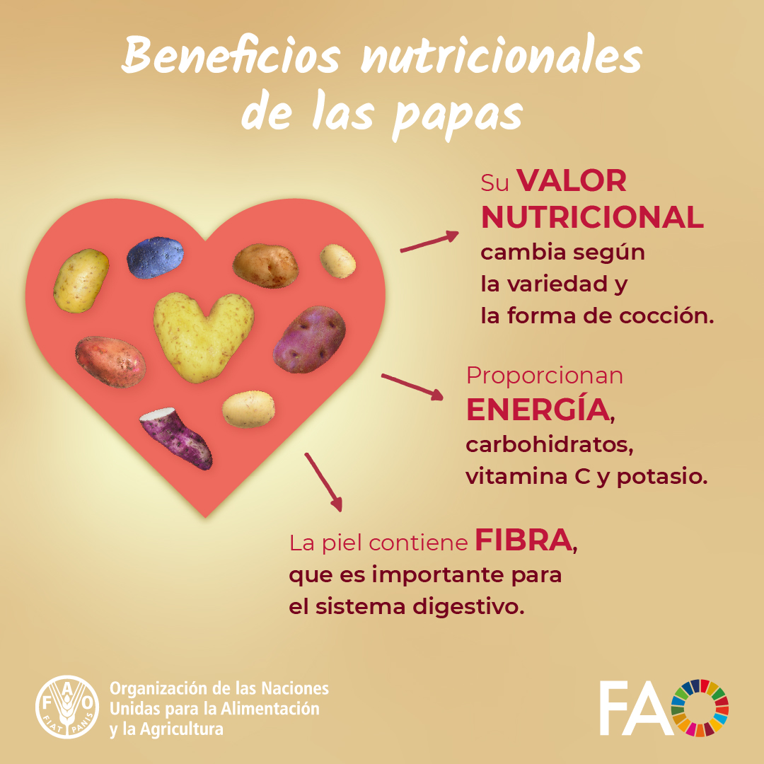 FAOenEspanol's tweet image. ¡Las papas o patatas son un alimento versátil que contribuye a una alimentación saludable y a los medios de vida rurales en todo el mundo!
¿Conocías las propiedades nutricionales de la papa?
#DietasSaludables