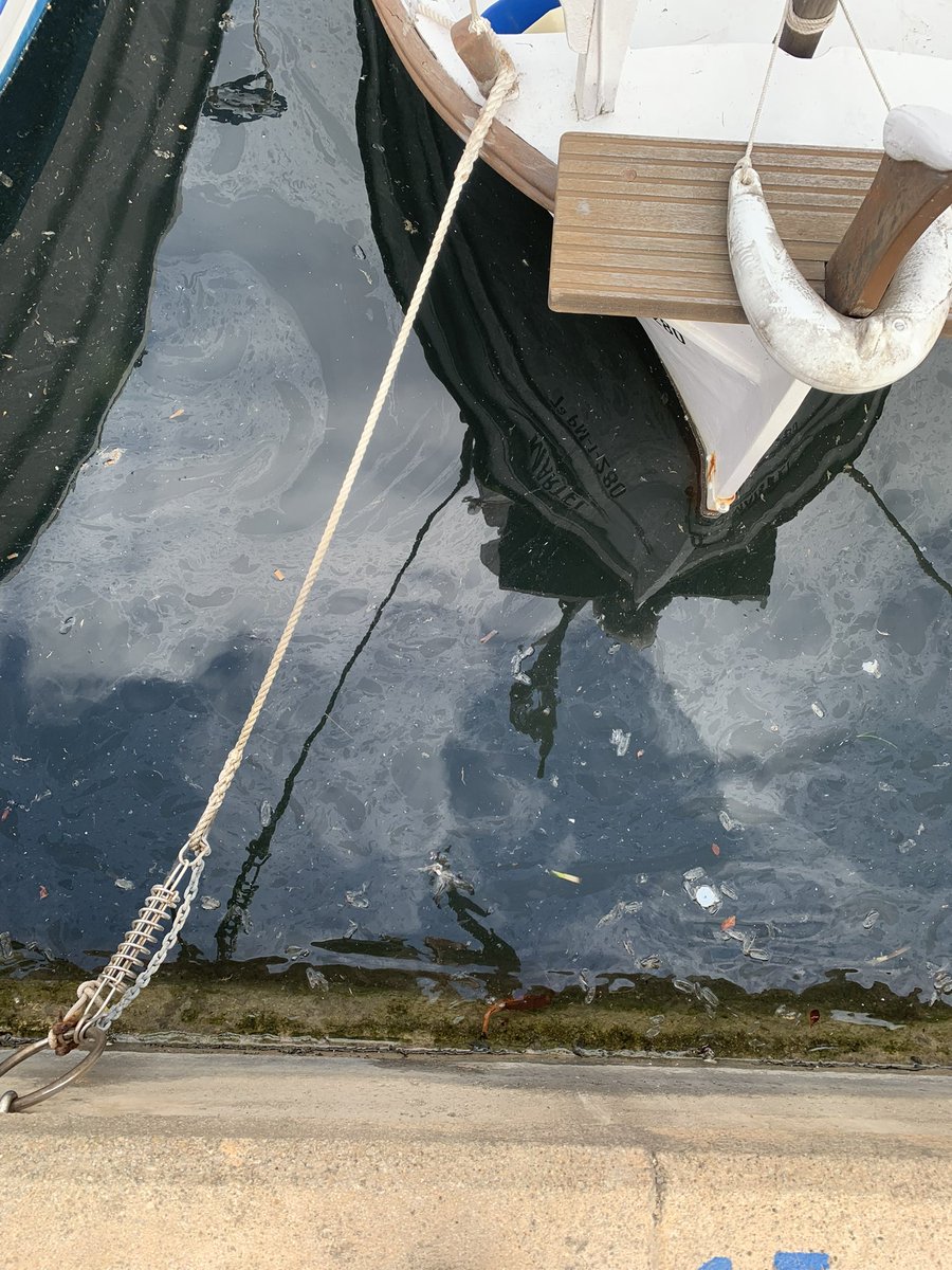 SpillControl_'s tweet photo. 🌊 Now more than ever, community makes the difference

Every time someone sends us a photo of a spill, every time a marina shares their experience with Spillcontrol, every time a person stops to pick up a piece of trash… we’re one step closer to a cleaner sea. https://t.co/y3yqIVJc3S