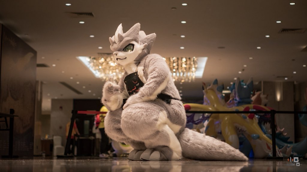 Hey you. Yeah,you.
📷：<a href="/yeKevin15/">小Q 🔜 极兽聚SFF</a> 
#FursuitFriday