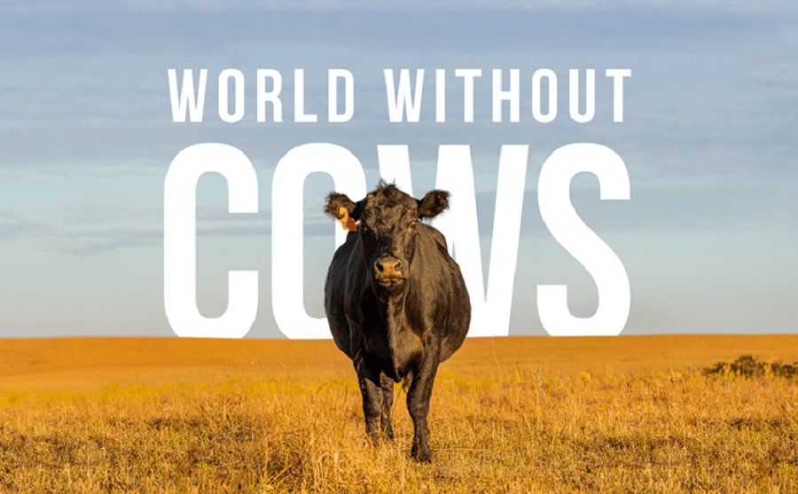 Come sarebbe un mondo senza #vacche, o più in generale, senza #allevamenti di #bovini?
📹 A queste domande prova a rispondere @WorldWithoutCows, un docufilm presentato negli scorsi giorni al Parlamento Europeo di Bruxelles.
carnisostenibili.it/world-without-…
