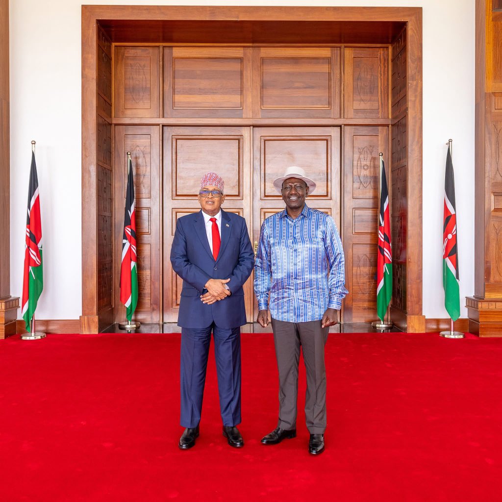 QShiine's tweet photo. President of Somaliland Abdirahman Irro Meets President William Ruto for Strategic Talks on Bilateral Relations and Regional Peacebuilding. https://t.co/Yc79JrKyUj