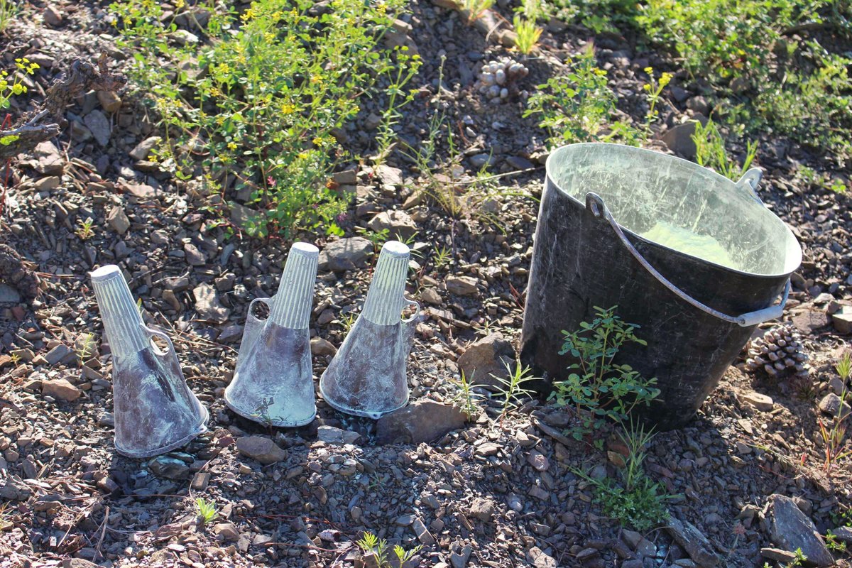 Mas Doix tweet media