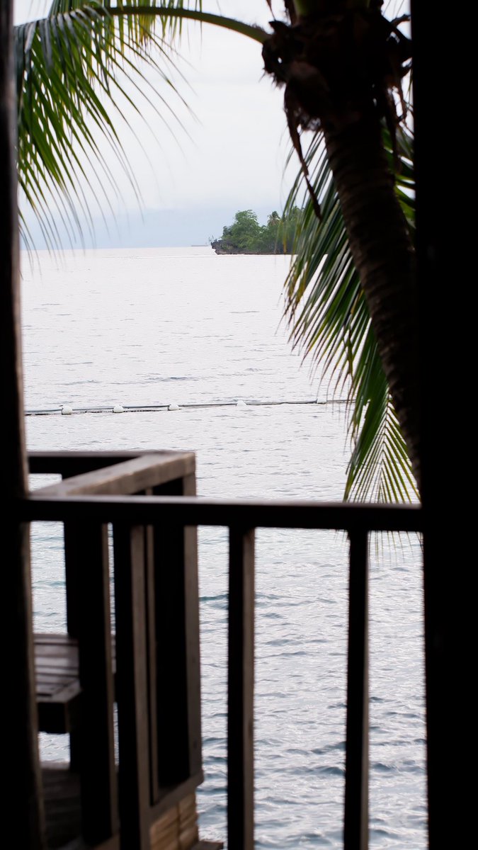 View view view