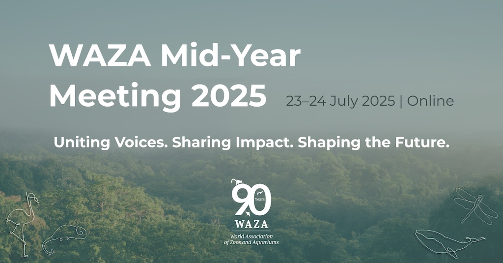 blooloop (@blooloop) on Twitter photo .<a href="/waza/">World Association Zoos & Aquariums</a> opens registration for Mid-Year Meeting 2025. tinyurl.com/dyn5khbn .<a href="/waza/">World Association Zoos & Aquariums</a> opens registration for Mid-Year Meeting 2025. tinyurl.com/dyn5khbn