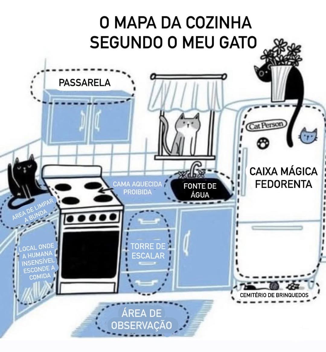 SiberiBel's tweet photo. Que tem gato, entende muito bem. 😹
#gatos #catlovers #catlife #mãedepet #felinos https://t.co/K7xnO0cycF