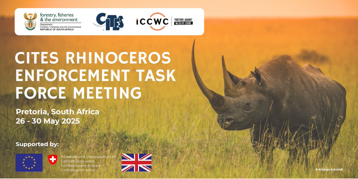 environmentza's tweet image. Minister @DrDionGeorge will today close the @CITES Rhinoceros Enforcement Task Force meeting that has been taking place over the course of this week in Pretoria.

For more information 👉bit.ly/43RN3zl

#RhinoConservation #NotOnOurWatch
