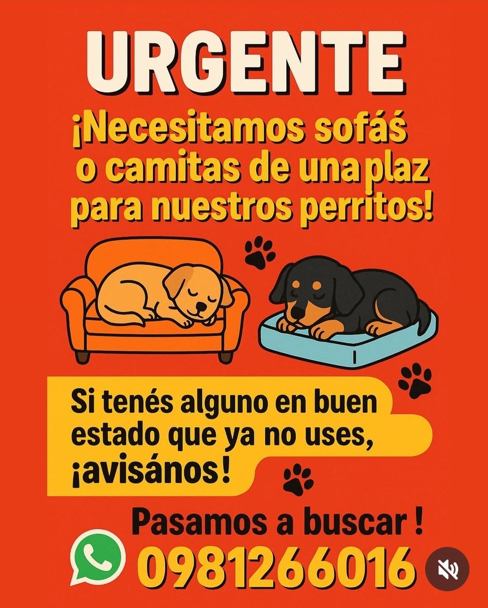 mariannojeda's tweet photo. https://t.co/82Y4uuurNR