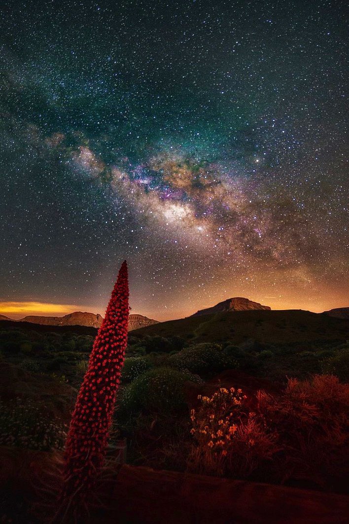 #Canarias 💙🤍🌟