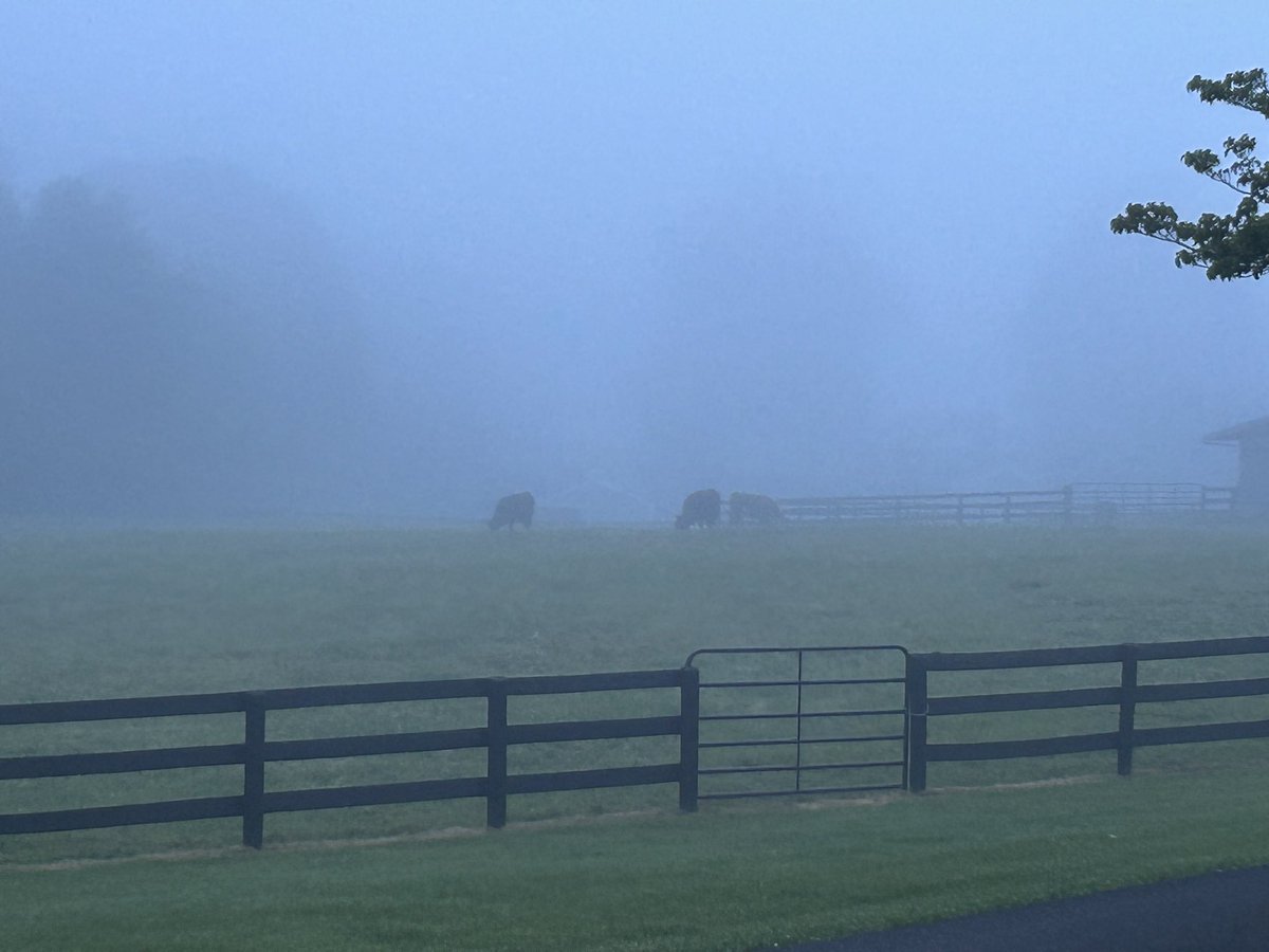 Life may be foggy at times, but it will eventually clear up