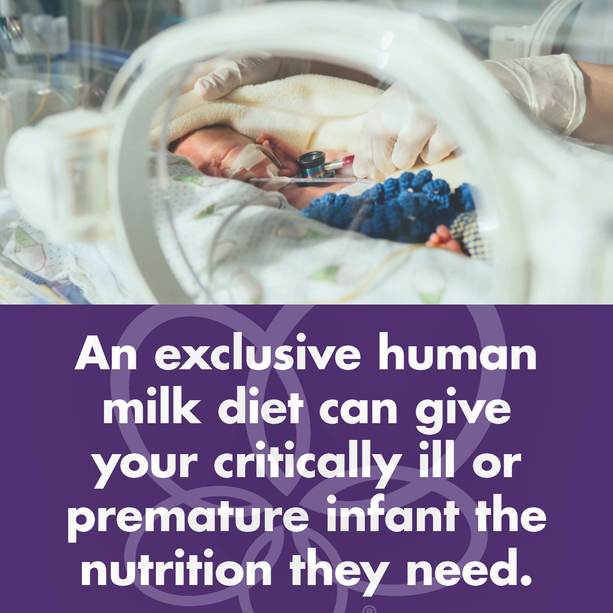 When your baby is in the NICU, every decision matters. Learn how human milk-based nutrition can help your fighter thrive. 

Get resources and information: hubs.li/Q03mXwJC0