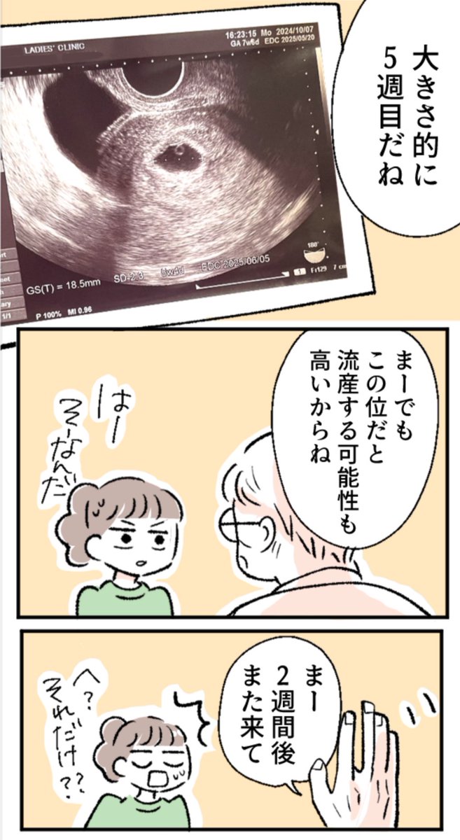 整形外科へ行ったら妊娠が判明した話(5/15) 