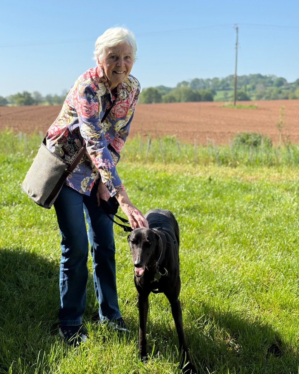 #ForeverHomeFriday
Kiki is home forever! We always check in with adopters the day after the dog has gone home; you don't get a more positive report than this: "Kiki is doing brilliantly - her new mum &amp; dad are absolutely over the moon!" We know she's going to love life in Devon!