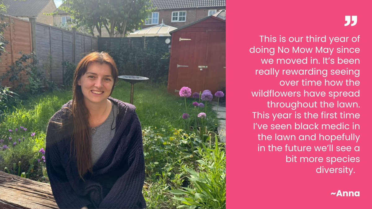 Throughout #NoMowMay, many of our colleagues decided to put down the lawnmower to let nature grow. The results? More wildflowers, more pollinators and more conversations about how small changes can make a big environmental difference. 🌱🐝