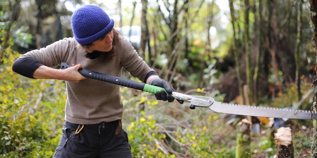 Forestry Commission tweet media