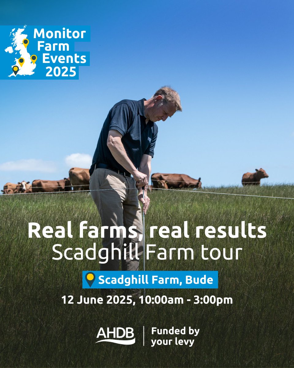 AHDB Beef & Lamb tweet media