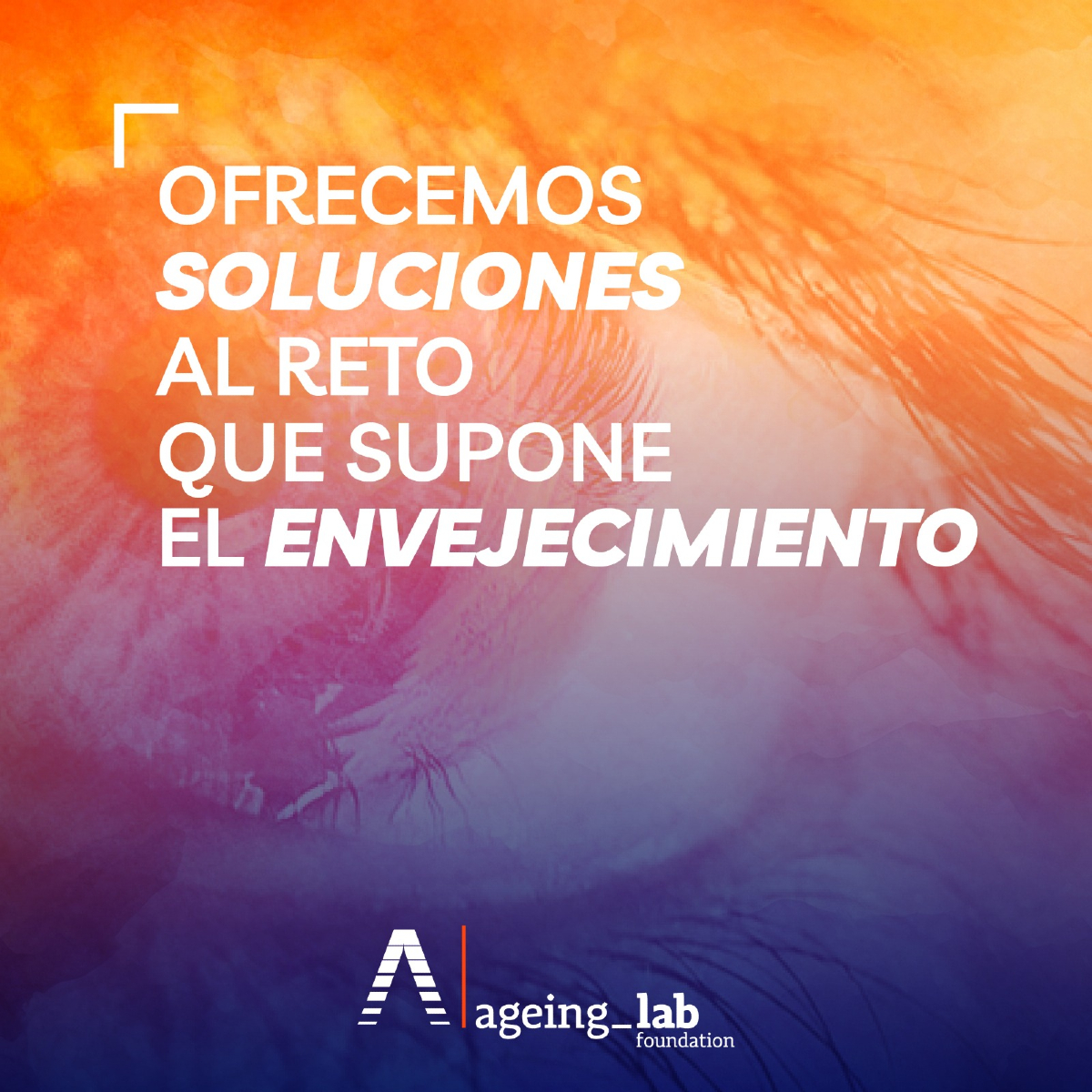 🧠🗣️💡​👨🏻‍🦳​👩🏻‍🦳​Desde #AgeingLab, ofrecemos soluciones al reto que supone el envejecimiento, a través de la creación y transferencia de conocimiento.

🌐​Puedes conocer más información en nuestro sitio Web: ageinglab.org

#Envejecimiento #Conocimiento #Fundación #Proyectos