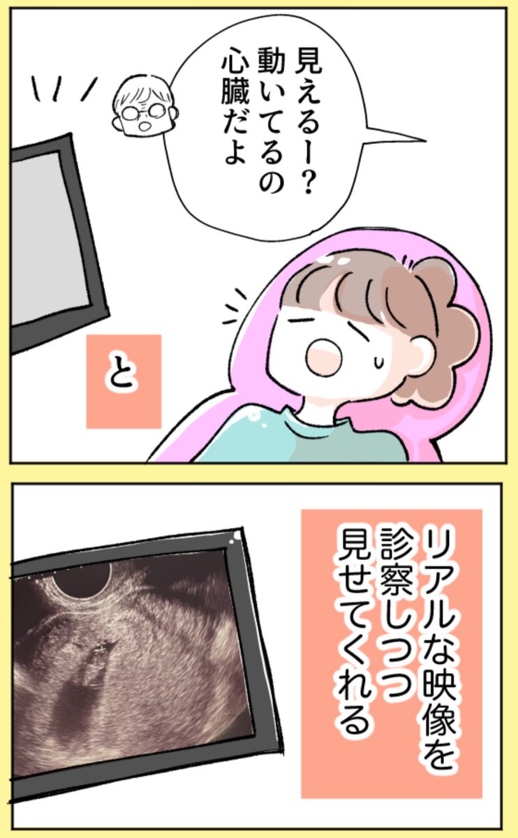 整形外科へ行ったら妊娠が判明した話(12/15) 