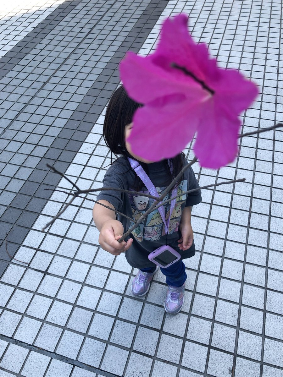 セシルだったもの (@cecile_1227_) / Posts / X