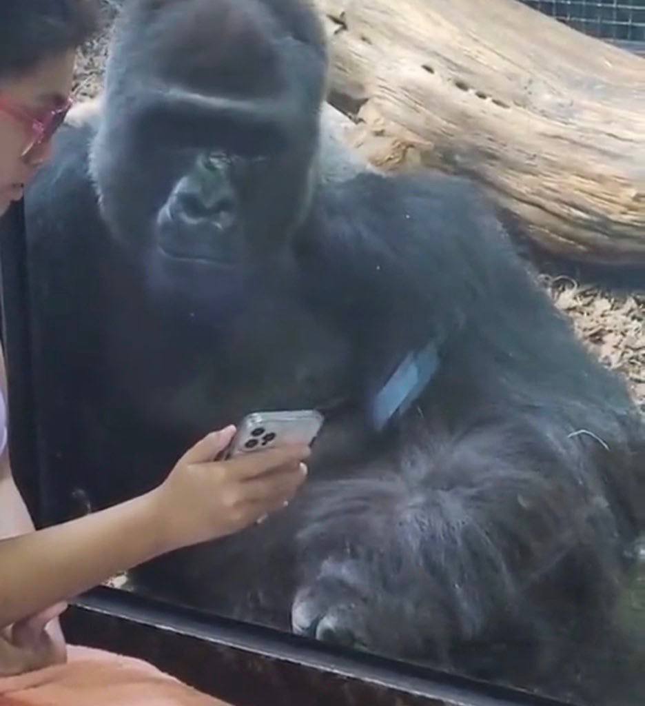 trying to explain what can you do to be loud <a href="/stayloudio/">Loud!</a>