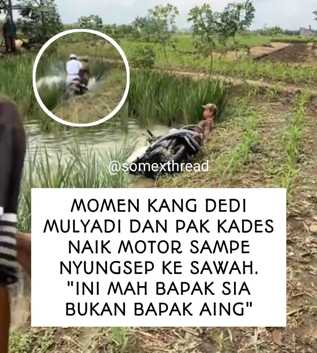 somexthread's tweet photo. Ini beneran kang dedi mulyadi?? bisa-bisanya nyungsep ke sawah bareng pak kades😭🤣

mau ketawa takut dibawa ke barak😭🤏 https://t.co/y5wMVj0983
