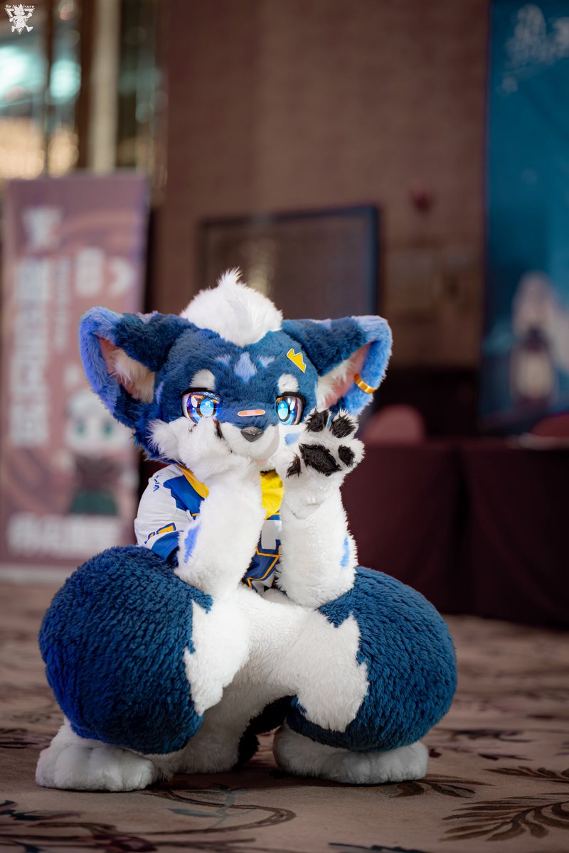 xianyunyanba's tweet image. #FursuitFriday

hi，你不要我了对吧，那我去蛋糕店买一个小蛋挞就够了，毕竟没有人可以分享了～

📷@亿年