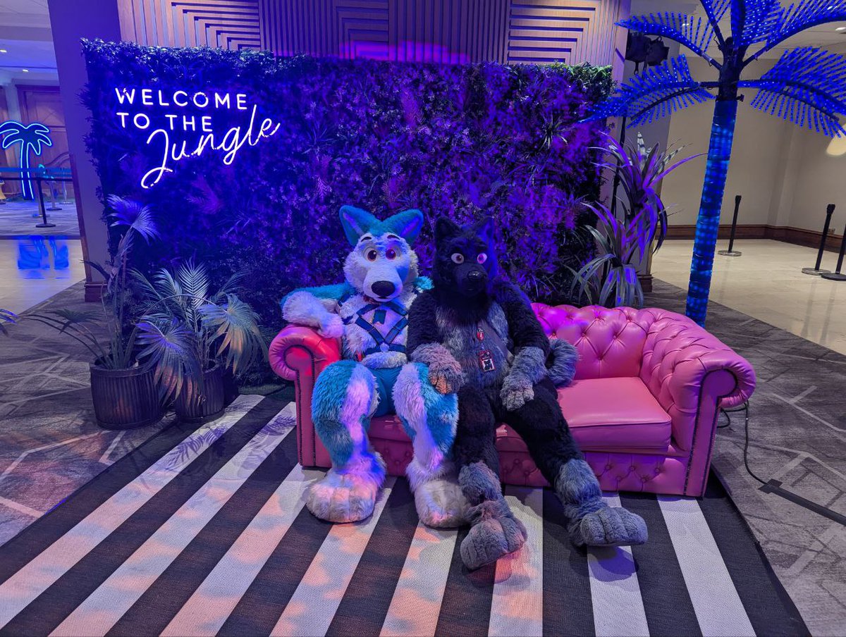 Oreo Otter (@oreootter) on Twitter photo Well why don't you come join me & <a href="/NachtKrallen/">NachtKrallen ๐บ๐ฌ๐ง๐ณ๏ธโ๐๐พ ๐๐</a> on the Sofa, we can cuddle that PCD away
#FursuitFriday some of last ones of Adam 2.0
๐ฆโโฌ - Corvus Well why don't you come join me & <a href="/NachtKrallen/">NachtKrallen ๐บ๐ฌ๐ง๐ณ๏ธโ๐๐พ ๐๐</a> on the Sofa, we can cuddle that PCD away
#FursuitFriday some of last ones of Adam 2.0
๐ฆโโฌ - Corvus