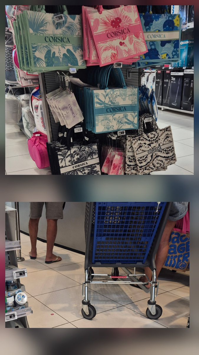 Leia 🦎 par ouï-dire tweet media