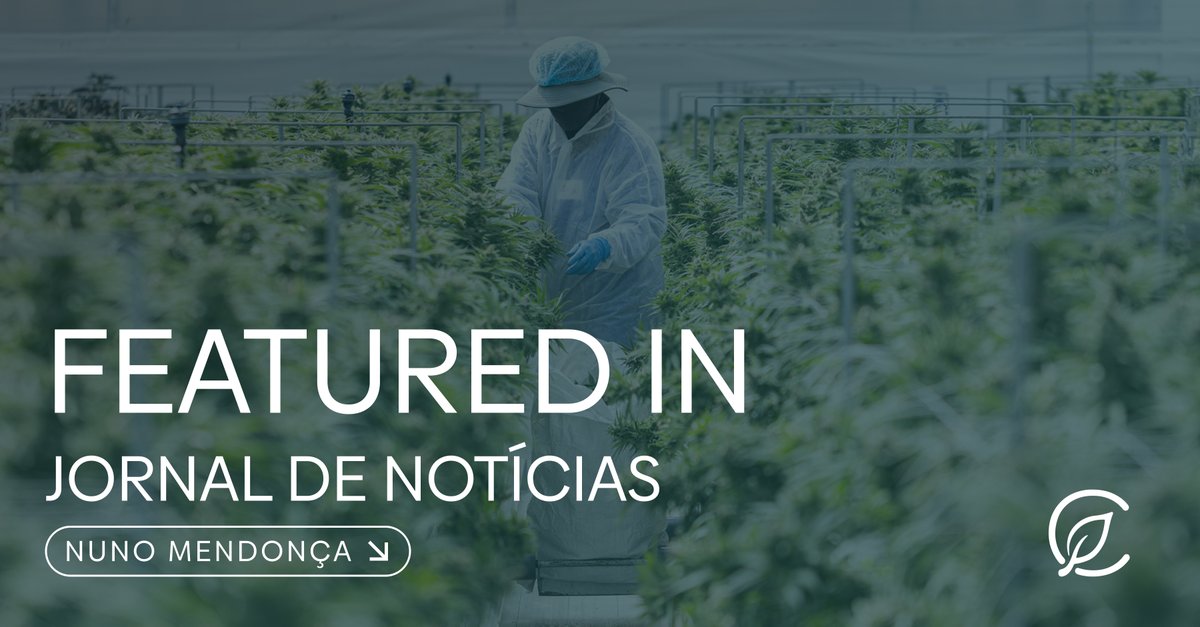 Curaleaf International (@curaleafint) on Twitter photo A <a href="/SICNoticias/">SIC Notícias</a> report confirms Portugal's status as one of the global export leaders, with 32 tonnes expected this year.
Our General Manager of Iberia at Curaleaf International, Nuno Mendonça, shared perspectives on the country's favourable conditions for cultivation and A <a href="/SICNoticias/">SIC Notícias</a> report confirms Portugal's status as one of the global export leaders, with 32 tonnes expected this year.
Our General Manager of Iberia at Curaleaf International, Nuno Mendonça, shared perspectives on the country's favourable conditions for cultivation and