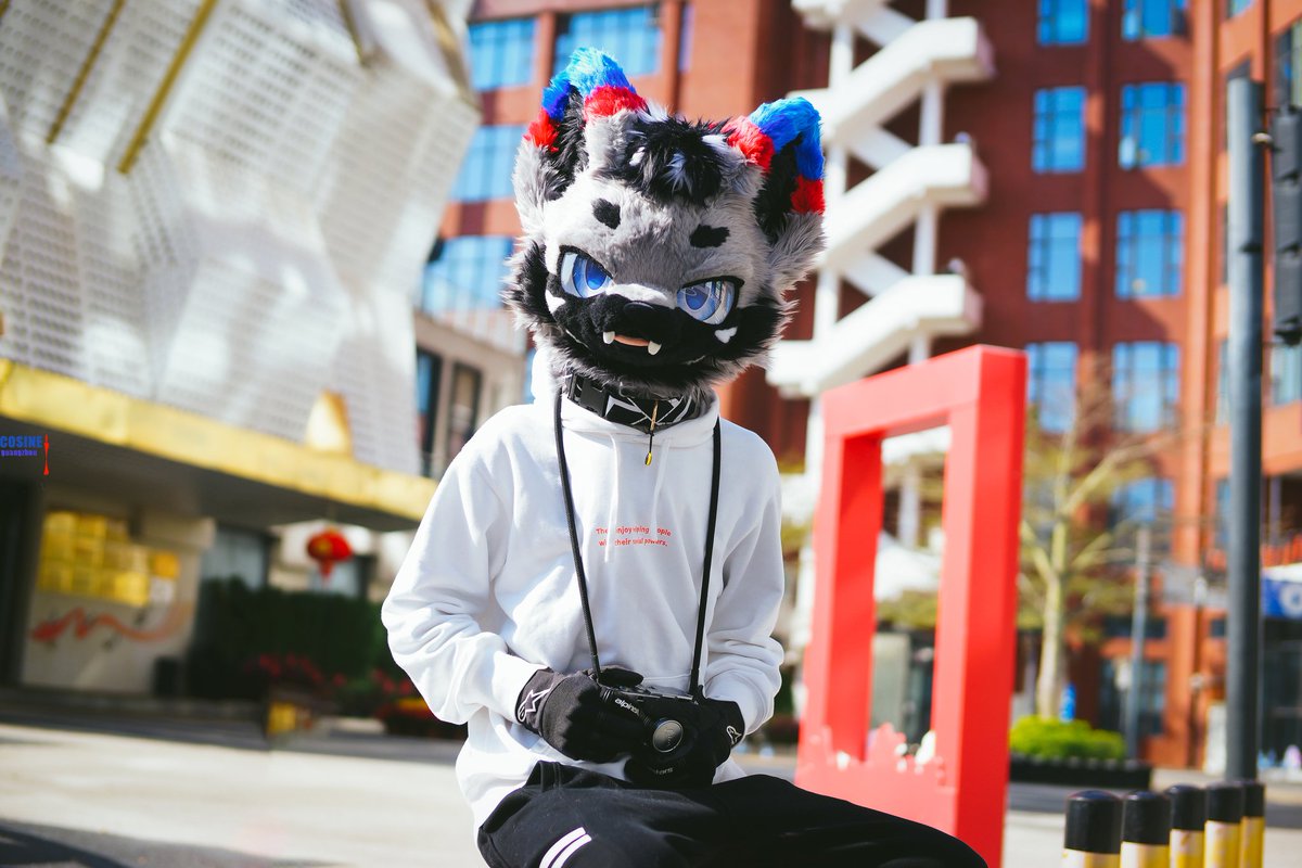 #FursuitFriday #fursuit 
要一起来拍照嘛？
📷：余弦