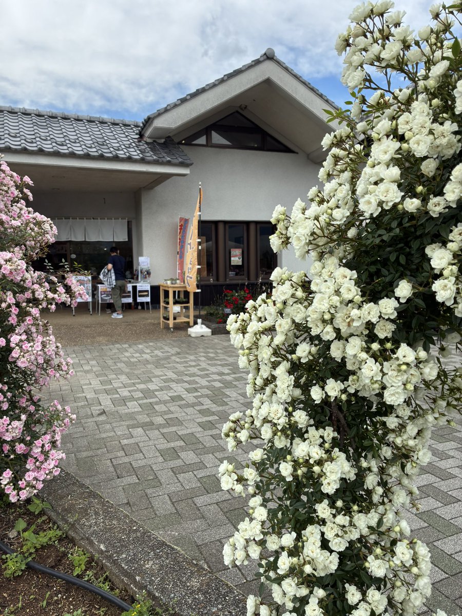 いつもありがとうございます🤲
今週末も富士川クラフトパーク1郷館🎪室内でワークショップも楽しめます✨他にもレーザー焼印、革小物販売などもやってます⭐️お気軽にお立ち寄りください😊
#富士川クラフトパーク #身延町