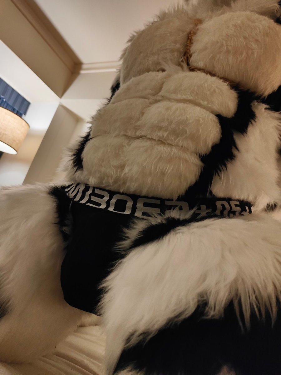 oyupon1's tweet photo. #FursuitFriday
ケモノにパンツってえっちよね- ̗̀🐯 ̖́- https://t.co/YSgzM3kRxf