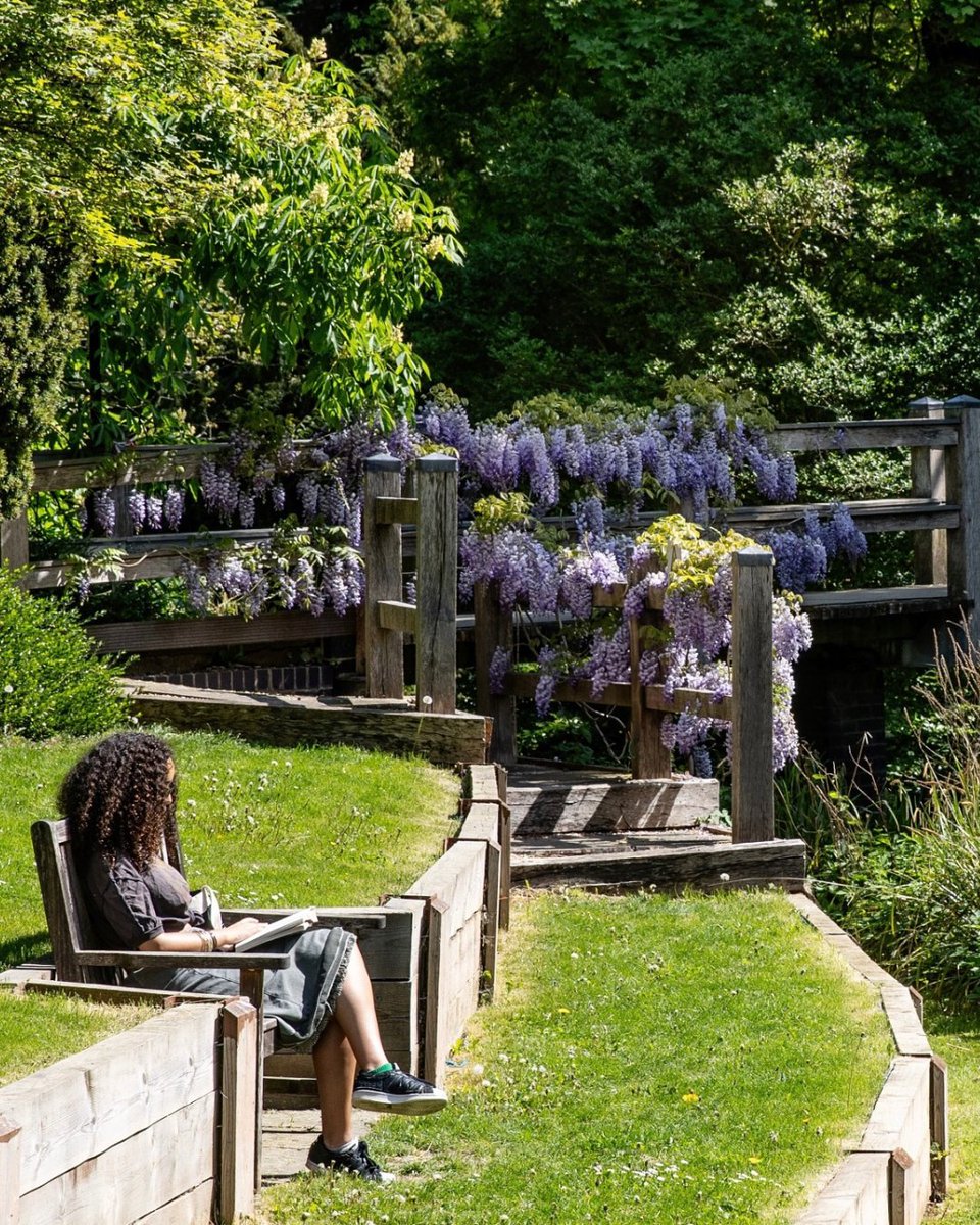 Cambridge University (@cambridge_uni) on Twitter photo From dinners to ducks and gardens to graduations, we've had an eventful May across our Colleges 🤩
Zorbing @StJohnsCam ⚪
<a href="/ChurchillCol/">Churchill College</a> students enjoy their graduation dinner 🍽️
<a href="/CaiusCollege/">Gonville & Caius College</a>'s Porter team rescue a trapped duckling 🦆
Relaxing in <a href="/RobinsonCamb/">Robinson College</a>'s gardens 💜 From dinners to ducks and gardens to graduations, we've had an eventful May across our Colleges 🤩
Zorbing @StJohnsCam ⚪
<a href="/ChurchillCol/">Churchill College</a> students enjoy their graduation dinner 🍽️
<a href="/CaiusCollege/">Gonville & Caius College</a>'s Porter team rescue a trapped duckling 🦆
Relaxing in <a href="/RobinsonCamb/">Robinson College</a>'s gardens 💜