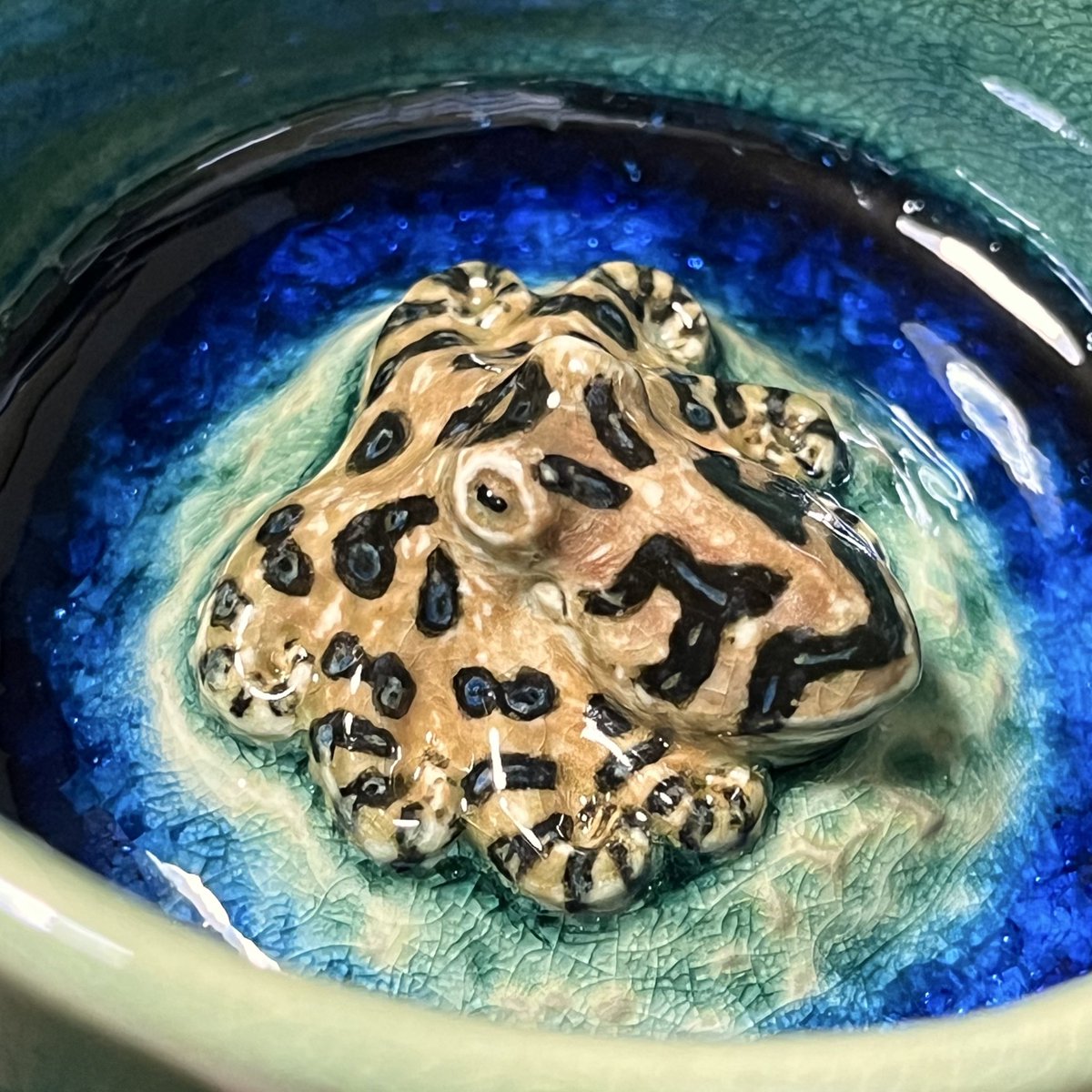 Usaginorara1's tweet image. ヒョウモンダコのぐい呑みを作りました。
自分でも思わずドキリとするクオリティに仕上がりました。