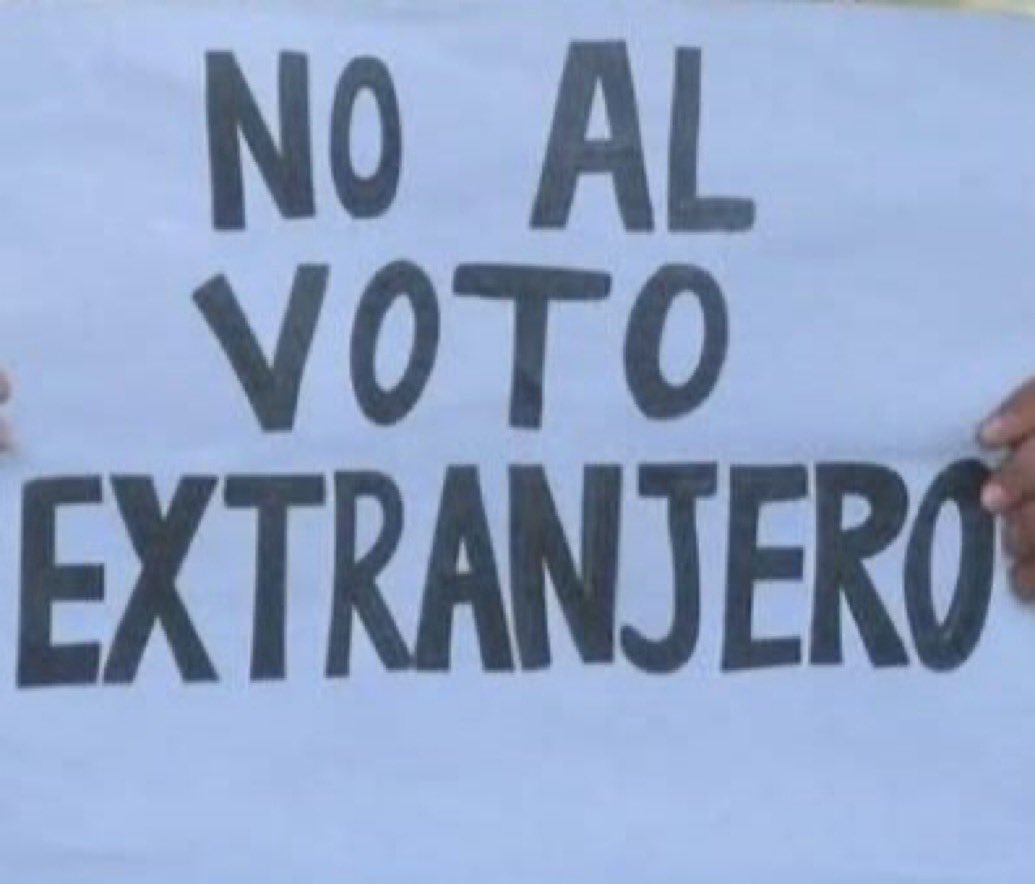 cat38% (@lavanchymarta) on Twitter photo 