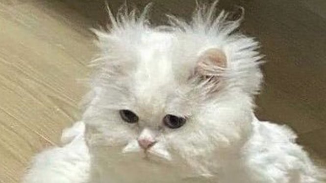 แฟนผมน่ารักมากจัง                       น่ารัก!?