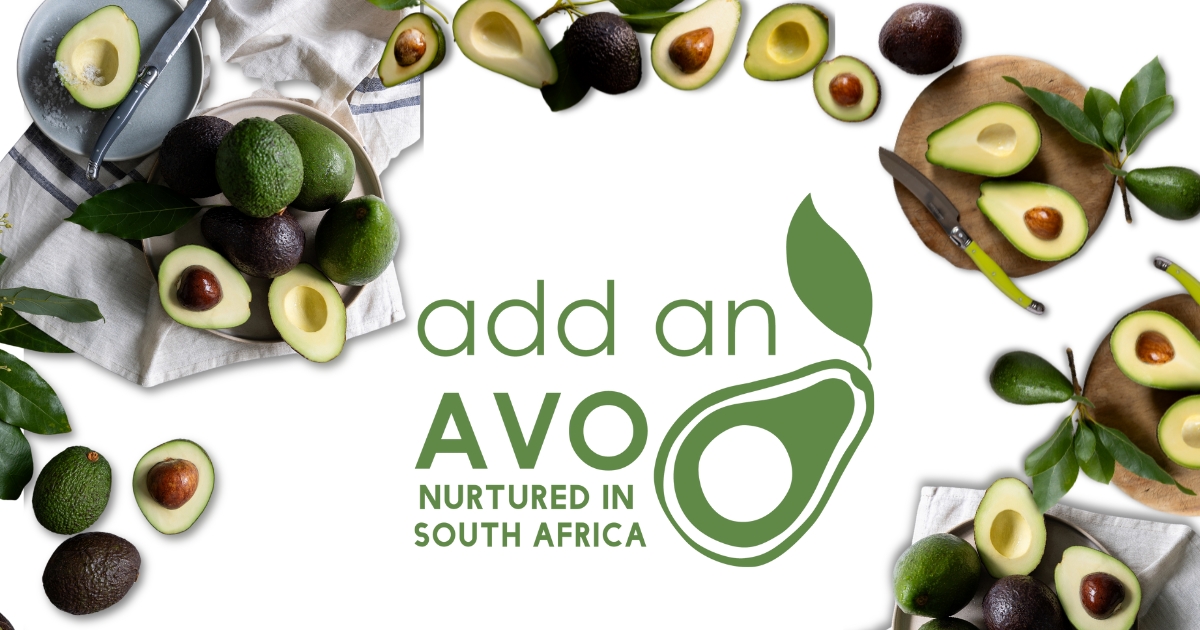 CapeTalk's tweet photo. Avocados are available almost all year! Creamy green from March to October, nutty dark from March to November. They're tasty, nutritious, and packed with healthy fats!
For recipes, visit https://t.co/SqrLwa3YxI
#addanavo #avocado
#Sponsored https://t.co/rByNNYrJZC
