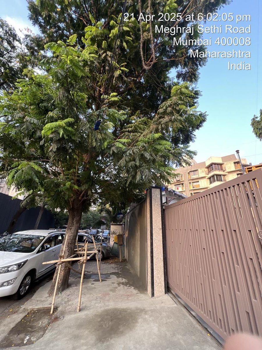 Tree trimming required at the footpath of Oscar apartment at the junction of meghraj sethi Marg and Nair road at Agripada. <a href="/mybmc/">माझी Mumbai, आपली BMC</a> <a href="/mybmcWardE/">WARD E BMC</a> @mybmcgardens