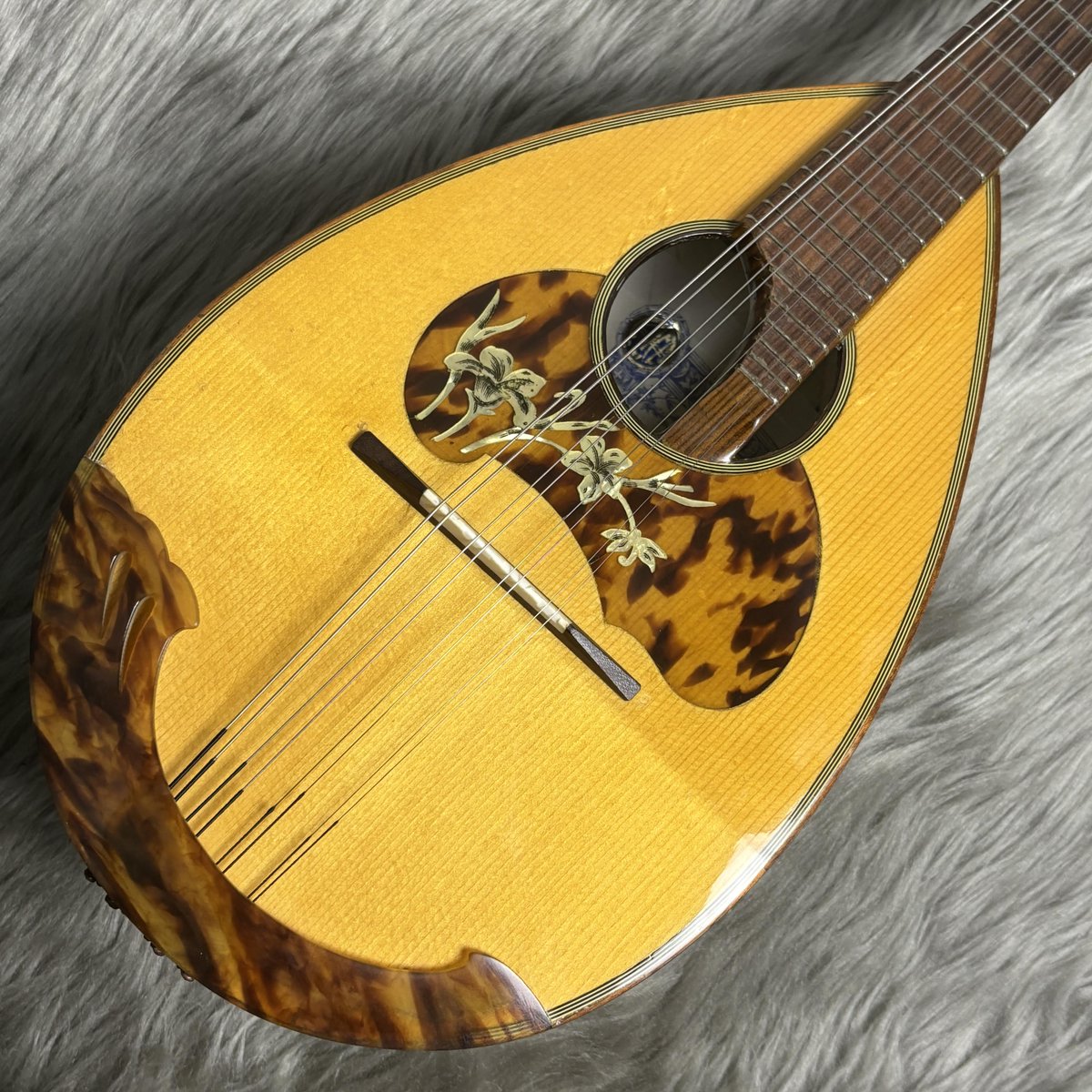 shima_kinshicho's tweet image. 🌟中古マンドリン入荷情報🌟
イタリアの王道 #Calace No.26の中古が入荷しました👀
程よく経年変化した個体は、鳴らしやすく味のある音色です👍
製造年に鑑みてキズも少ない良コンディションの個体です😉

詳細はコチラ👇
store.shimamura.co.jp/ec/pro/disp/1/…
#島村楽器 #錦糸町 #マルイ #中古