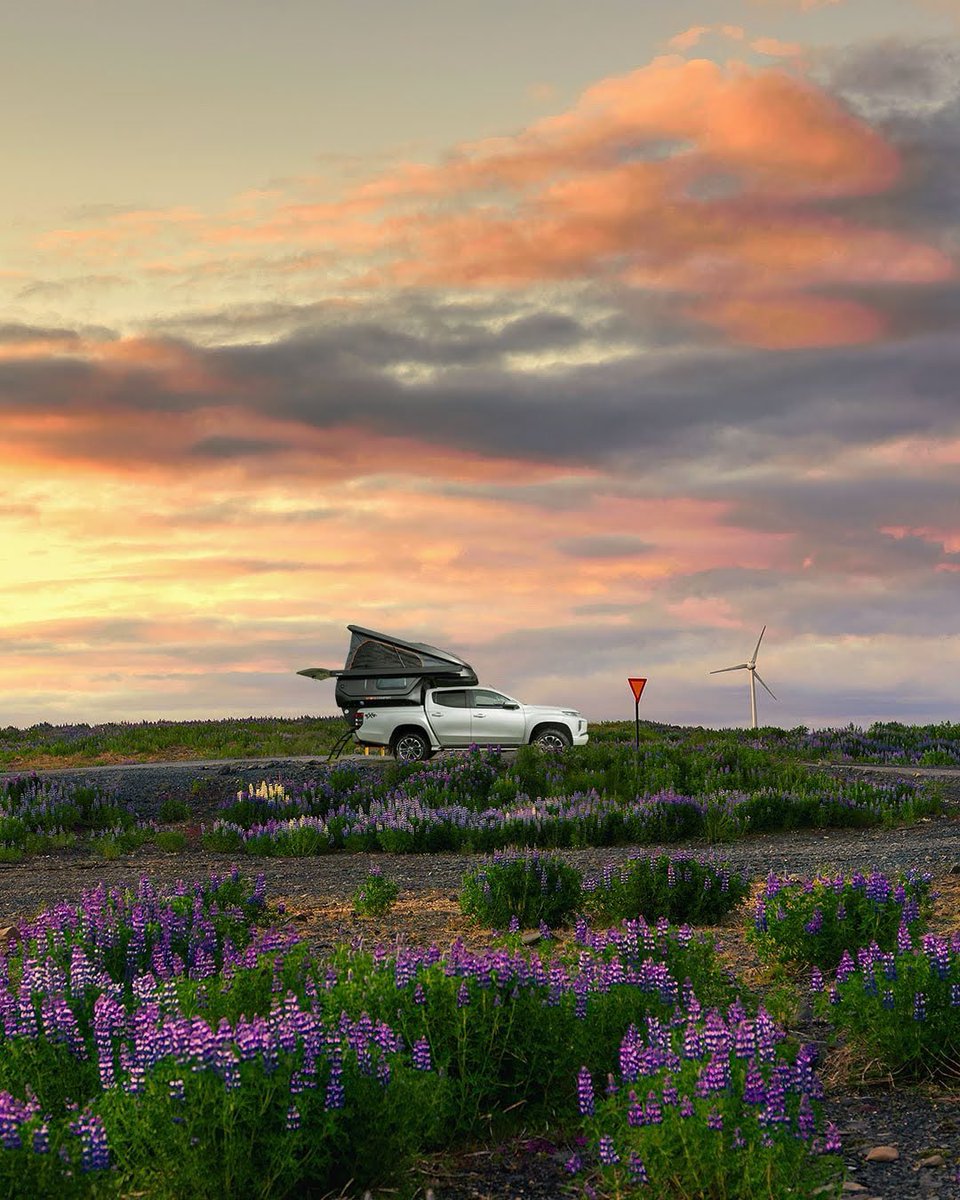 storkcamper's tweet photo. İşte Mayıs’ın en güzel yansıması! 💚
Here is the most beautiful reflection of May! 💚

#StorkCamper https://t.co/WbXZWtKkTg