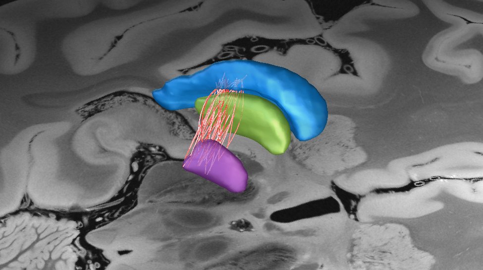 Joshua Wong tweet media
