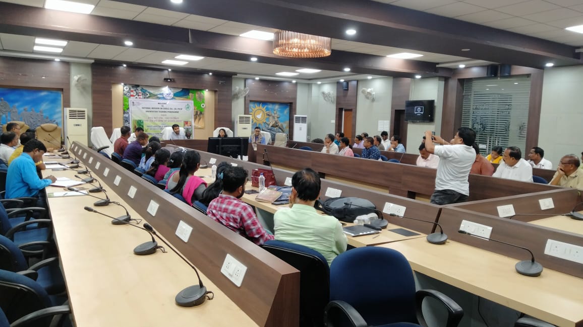 ORMAS, Angul tweet media