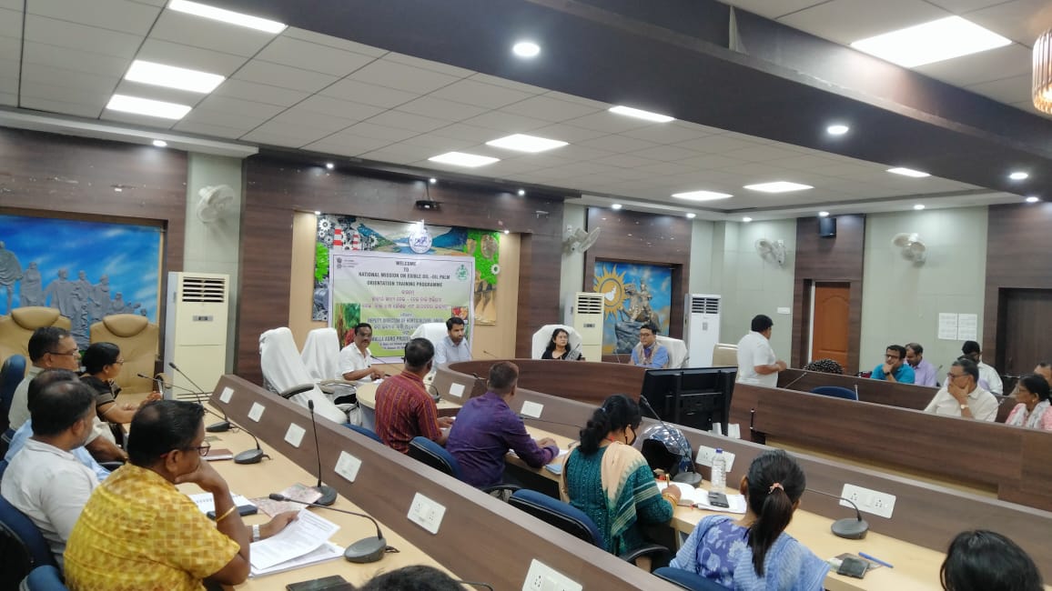 ORMAS, Angul tweet media