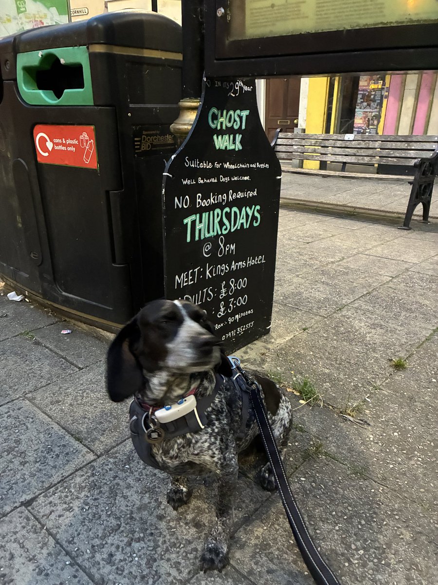 Meet Poppy who is the latest #Dogs of the #GhostWalk to have her picture taken. She and her family enjoyed themselves last night. Poppy was particularly pleased to see the #Ducks. Thank to her family for allowing the use of the photos.