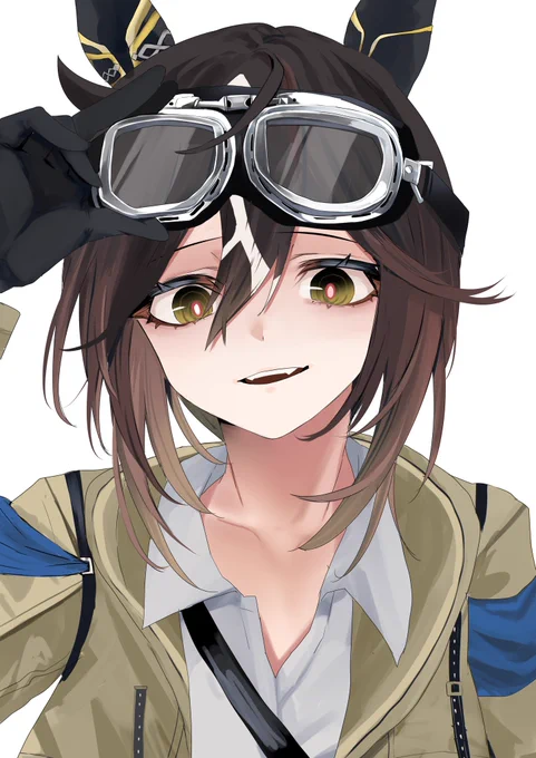 ステゴ