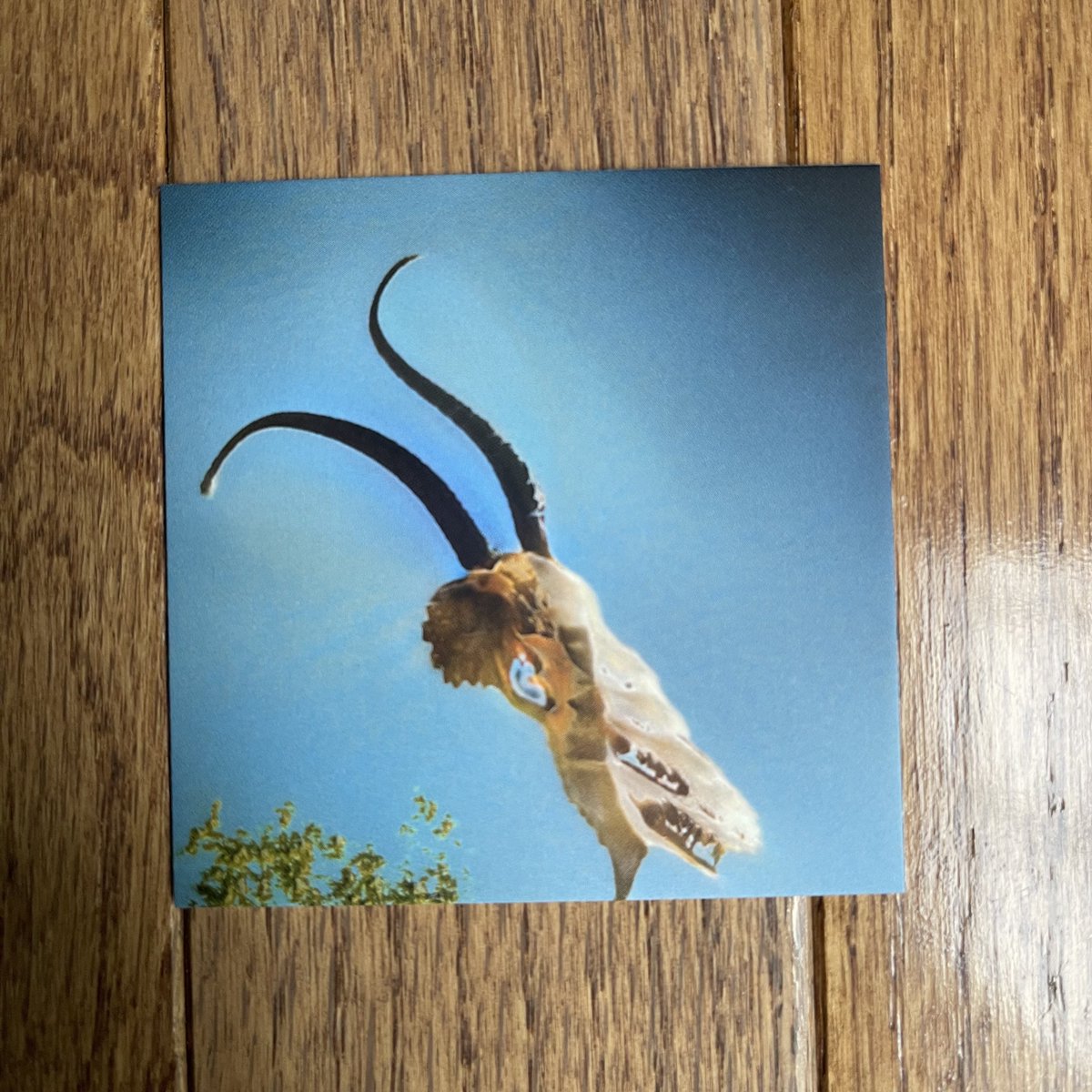 ๐ฑรฅ๐๐ ๐ธ๐๐๐๐๐ (@bardionson) on Twitter photo Reality?
Mini prints for <a href="/NFCsummit/">NFC SUMMIT - LISBON - JUNE 4-6 2025</a>
Come find me
Vanishing of the Genuine Reality?
Mini prints for <a href="/NFCsummit/">NFC SUMMIT - LISBON - JUNE 4-6 2025</a>
Come find me
Vanishing of the Genuine