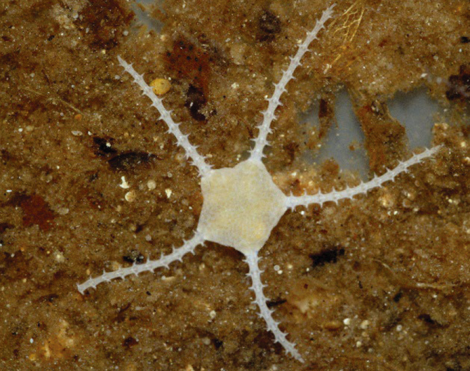 Subterranean Biology tweet media