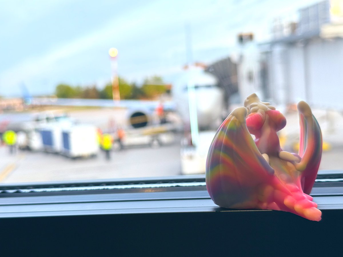 On our way to <a href="/AltPornNet/">AltPornNet</a> Awards! We’ve brought as many goodies as we could carry  🤩 ✈️