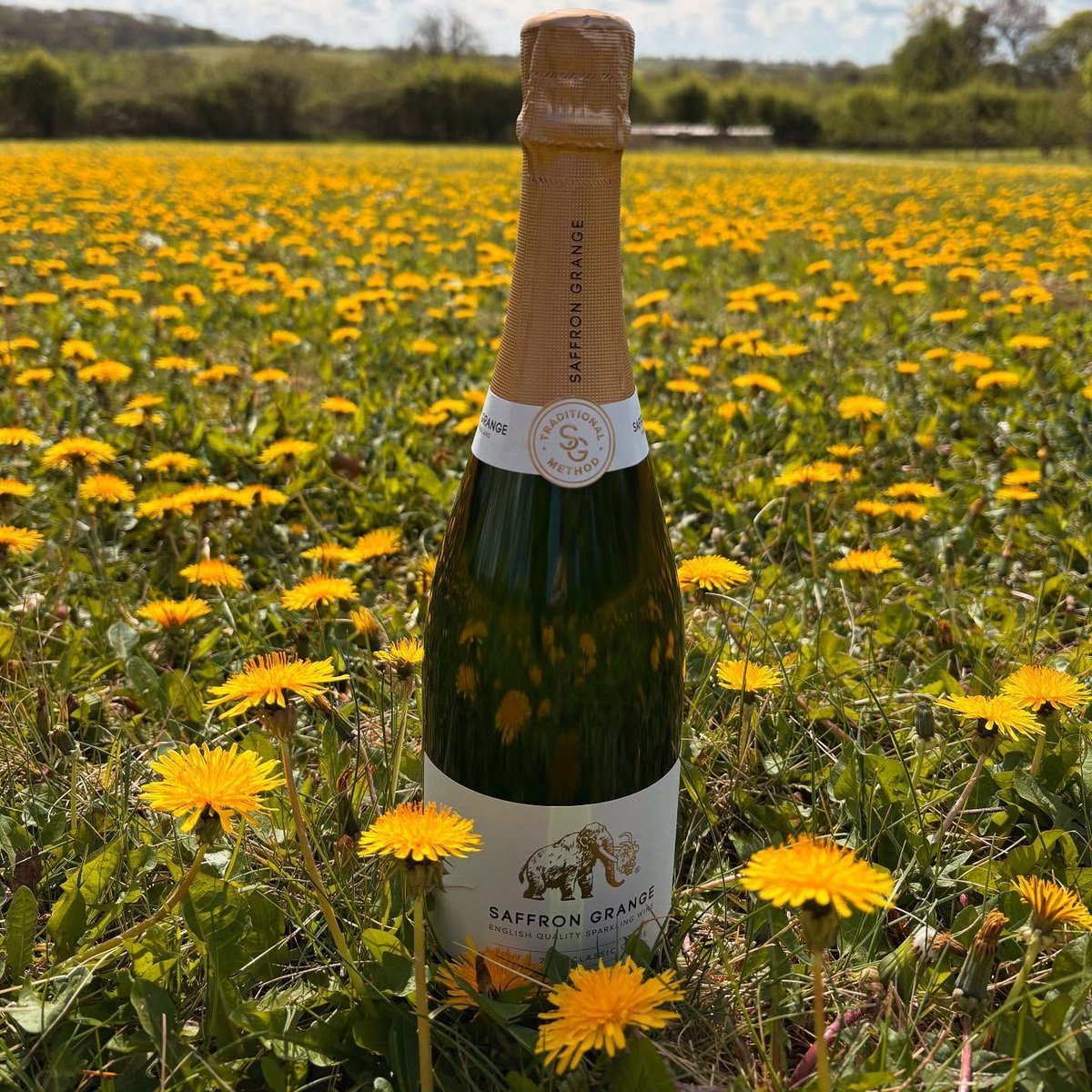 WineGB East (@winegbeast) on Twitter photo If you're planning a BBQ or a picnic, don’t forget to grab a bottle of wine from your local vineyard. It's the perfect way to enjoy the sunny days.🍷☀️
Photo: <a href="/saffrongrange/">Saffron Grange</a> If you're planning a BBQ or a picnic, don’t forget to grab a bottle of wine from your local vineyard. It's the perfect way to enjoy the sunny days.🍷☀️
Photo: <a href="/saffrongrange/">Saffron Grange</a>
