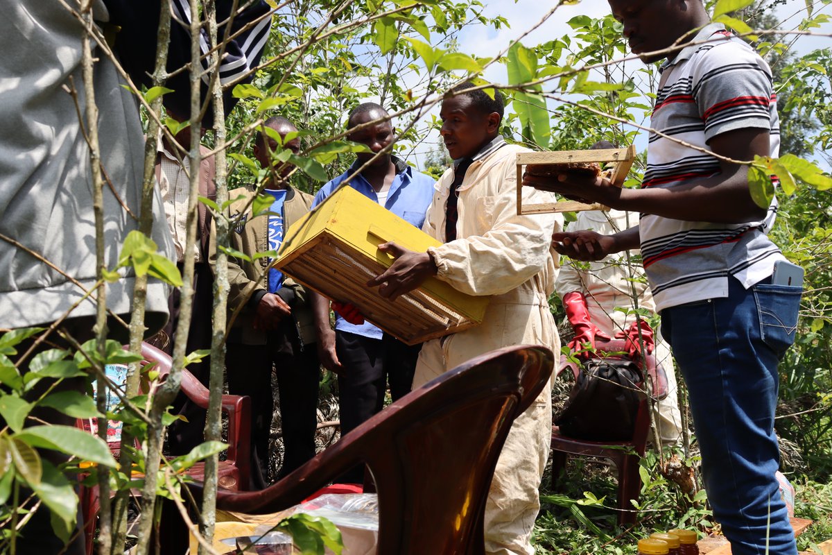 Today the Githunguri Field Day has brought together community members of all ages school going children ,farmers community members and parents. 
Energy, learning, and community spirit are in full bloom as community members  learn , grow their skills as they pass knowledge.